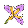 Douglas iris plant purple color icon. California blooming wildflower. Garden flower, weed. Iris douglasiana. Spring