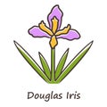 Douglas iris plant purple color icon. California blooming wildflower with name inscription. Garden flower, weed. Iris