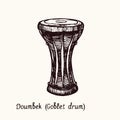 Doumbek goblet drum. Ink black and white doodle drawing in woodcut style