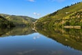 The Douro River Royalty Free Stock Photo