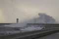 Stormy wave splash at dusk Royalty Free Stock Photo