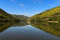 The Douro River Royalty Free Stock Photo