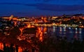 Douro river night view in Porto Royalty Free Stock Photo