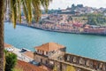 Douro river, palm tree and Porto Oporto town Royalty Free Stock Photo