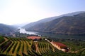 Douro river valley Royalty Free Stock Photo