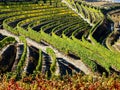 Douro river vineyards port wine Portugal