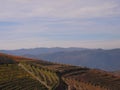 Porto wine region vineyards landscape