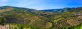 Douro Terraces of Vineyards, Porto Wine, Farm Buildings Royalty Free Stock Photo