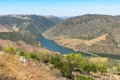 Douro Valley, Portugal. Top view of river, and the vineyards are on a hills Royalty Free Stock Photo