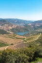 Douro Valley, Portugal. Top view of river, and the vineyards are on a hills Royalty Free Stock Photo