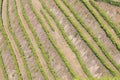 Douro Valley, Portugal. Top view of river, and the vineyards are on a hills. Summer day in terraced vineyards. Concept for travel Royalty Free Stock Photo