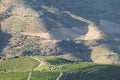 Douro Valley, Portugal. Top view of river, and the vineyards are on a hills. Summer day in terraced vineyards. Concept for travel Royalty Free Stock Photo