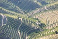 Douro Valley, Portugal. Top view of river, and the vineyards are on a hills. Summer day in terraced vineyards. Concept for travel Royalty Free Stock Photo