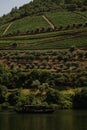 Douro Valley and vineyards hills at PinhÃÂ£o Regua Portugal Royalty Free Stock Photo