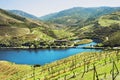 Douro Valley. Vineyards and landscape near Pinhao town, Portugal