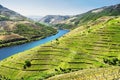 Douro Valley. Vineyards and landscape near Pinhao town, Portugal Royalty Free Stock Photo