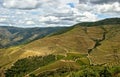 Douro Valley, vineyards and landscape near Regua