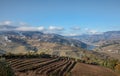 Douro Valley vineyards terraces Landscape in Winter Portugal
