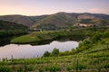 Douro wine valley region s shape bend river in Quinta do Tedo at sunset, in Portugal