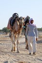 Arab Man Leading Camel in Desert near Douz, Tunisia