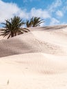 Douz,desert landscape,sahara,tunisia,africa Royalty Free Stock Photo