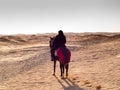 Douz, Tunisia, Arabian knight in the desert at sunset