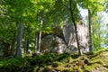 Dovbush Rocks, Carpathian Mountains, Ukraine. National park. Scenic view of green beech trees moss and rocks.