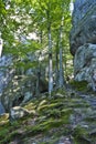 Dovbush Rocks, huge stones, rocks, moss Royalty Free Stock Photo