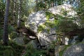 Dovbush Rocks in the forest near Yaremche city, Ukraine