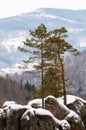 Dovbush rocks in winter