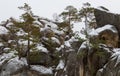 Dovbush rocks in winter
