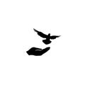 Dove bird free with hand. Pigeon flighing. Peace symbol. Freedom Royalty Free Stock Photo