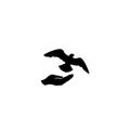 Dove bird free with hand. Pigeon flying. Peace symbol. Freedom