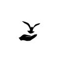 Dove bird free with hand. Pigeon flying. Peace symbol. Freedom Royalty Free Stock Photo