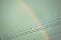 Dove bird hanging on electric wire with rainbow after rain in sky background
