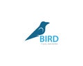 Dove Bird Logo Template Royalty Free Stock Photo