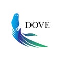Dove bird or pigeon animal logo design. elegant and eye-catching. vector icon illustration inspiration