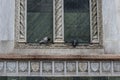 Dove birds couple on a window of a romanic marble church building