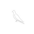 Dove birds line drawing, vector illustration