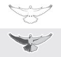 Dove birds logo for peace concept