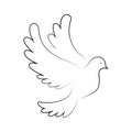 dove black art line icon, pigeon sign, symbol of peace linear concept, vector illustration
