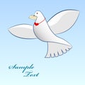 Dove carrying love message.