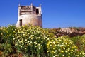 Dove-cote at Tinos island, Cyclades, Greece. Royalty Free Stock Photo