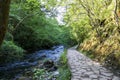 Dove Dale - beautiful view over the water among the green trees