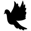 Dove in flight. Silhouette. Vector illustration. The bird flaps its wings. Dove - a symbol of peace. Isolated white background. Royalty Free Stock Photo