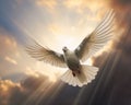 A Dove Flying High Above the Ground, With the Sun Shining Brightly Behind It