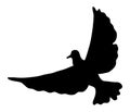 Dove flying migratory pigeons, cartoon vector, Bird dove black silhouette