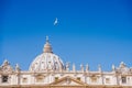 dove flying over famous St. Peter's Basilica,