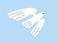 Dove flying in sky. Feathered bird spreading wings in flight, soaring, gliding in air. Peaceful free white pigeon