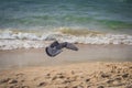 Dove flying to the sea at the Gordon beach. Tel Aviv, Israel. Royalty Free Stock Photo